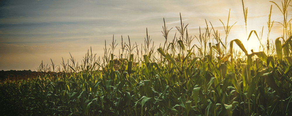 land-loan-farm