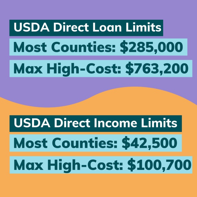 USDA Direct Loan Limits