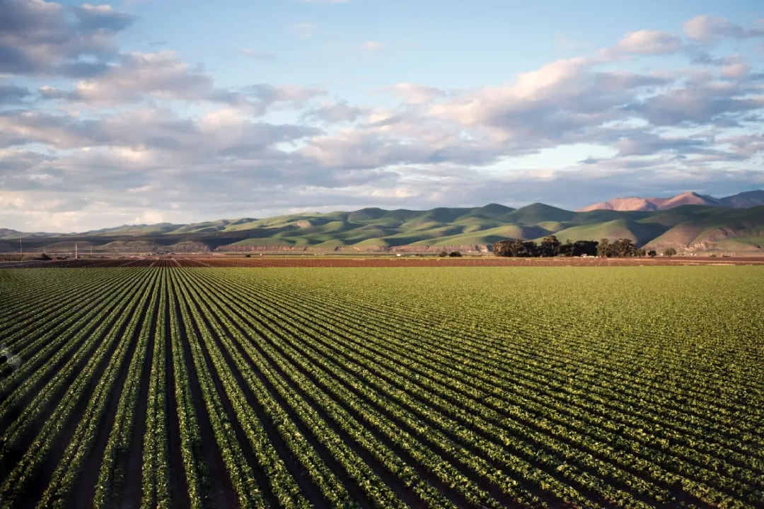 Farm Stock Image